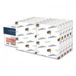 Hammermill 103119 Colors Print Paper, 20lb, 8.5 x 11, Salmon, 500 Sheets/Ream, 10 Reams/Carton HAM103119CT