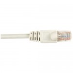 Black Box Connect CAT6 250 MHz Ethernet Patch Cable - UTP, PVC, Snagless, Gray, 5 ft. CAT6PC-005-GY