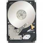 Seagate Constellation.2 Hard Drive ST91000640NS