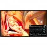 Eizo CuratOR Widescreen LCD Monitor LX491W-BK