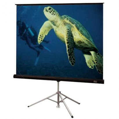 Draper Diplomat/R Portable Projection Screen 215016