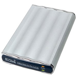 Buslink Disk-On-The-Go Hard Drive DL-320-U2