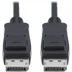 Tripp Lite DisplayPort A/V Cable P580-010-V4