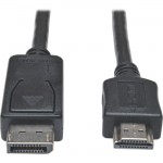 DisplayPort to HD Adapter Cable (M/M), 1080p, 20 ft P582-020