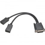 Tripp Lite DMS-59 to Dual DisplayPort Splitter Y Cable (M to 2xF) 1-ft. P576-001-DP