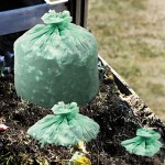 Stout EcoSAfe-6400 Compostable Compost Bags, .85mil, 48 x 60, Green, 30/Box STOE4860E85