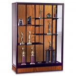 Elite Freestanding Display Case 93R8510