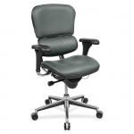 Eurotech ergohuman Mid Back Management Chair LE10LOEXPFOG