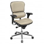 Eurotech ergohuman Mid Back Management Chair LE10LOSHITRA