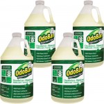 OdoBan Eucalyptus Multi-purpose Deodorizer Disinfectant Concentrate 911062G4CT