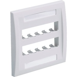 Panduit Executive Faceplate CFPE10WH-2GY