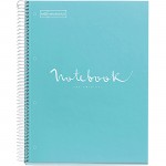 Roaring Spring Fashion Tint 1-subject Notebook 49273