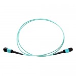 Fiber Optic Network Cable MPOFFOM31M-AX