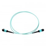 Fiber Optic Network Cable MPOFFOM410M-AX