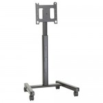 Chief Flat Panel Mobile Stand PFC2000B