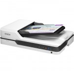 Epson Flatbed Color Document Scanner B11B239201