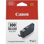 Canon Gray Ink Tank 4200C002