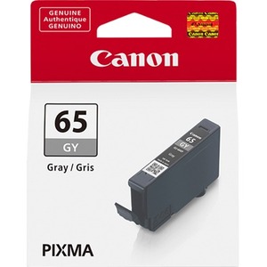 Canon Gray Ink Tank 4219C002