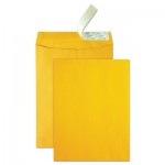 Quality Park QUA41620 High Bulk Redi-Strip Catalog Envelope, #13 1/2, Cheese Blade Flap, Redi-Strip Closure, 10 x