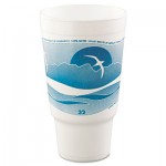 Dart Horizon Hot/Cold Foam Drinking Cups, 32oz, Teal/White, 16/Bag, 25 Bags/Carton DCC32AJ20H