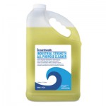 Industrial Strength All-Purpose Cleaner, 1 Gal Bottle, 4/Carton BWK3724