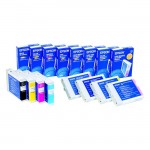 Epson Ink Cartridge T461011