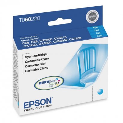 Epson Ink Cartridge T060220