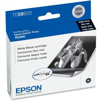 Epson Ink Cartridge T059820