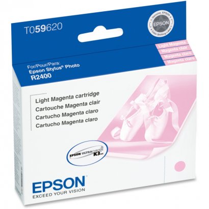 Epson Ink Cartridge T059620