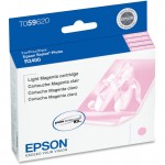 Epson Ink Cartridge T059620