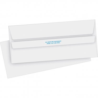 Business Source Invoice Envelope 04644