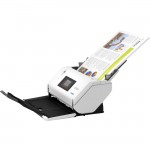 Epson Large-Format Document Scanner B11B256201