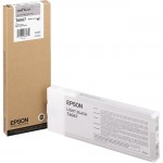 Epson Light Black Ink Cartridge T606700