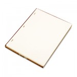 Wilson Jones W901-10 Looseleaf Minute Book Ledger Sheets, Ivory Linen, 11 x 8-1/2, 100 Sheet/Box WLJ90110