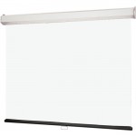 Draper Luma 2 Manual Wall and Ceiling Projection Screens 206015