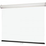 Draper Luma 2 Manual Wall and Ceiling Projection Screen 206013