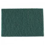 RPP S960 Medium-Duty Scouring Pad, 6 x 9, Green, 60/Carton RPPS960