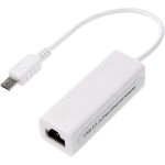 Micro USB to 10/100Mbps Ethernet Adapter 4XMICROUSBENET