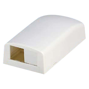 Panduit Mini-Com 2 Socket Surface Mounting Box CBX2IW-AY