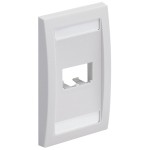 Panduit Mini-Com 2 Sockets Single Gang Faceplate CFPE2WHY