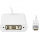 Rocstor Mini DisplayPort to DVI Adapter Y10A103-W1