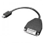 Lenovo Mini-DisplayPort to DVI Monitor Cable 0B47090