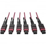 Tripp Lite MTP/MPO Multimode Base-8 Trunk Cable, Magenta, 61 m N858-61M-3X8-MG