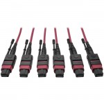 Tripp Lite MTP/MPO Multimode Base-8 Trunk Cable, Magenta, 23 m N858-23M-3X8-MG