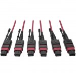 Tripp Lite MTP/MPO Multimode Base-8 Trunk Cable, Magenta, 11 m N858-11M-3X8-MG