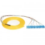 Black Box OS1 Single-Mode Fiber Optic Pigtail, 12-Strand, SC, Yellow, 3-m (9.8-ft) FOPT50S1-SC-12YL