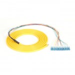 Black Box OS2 9-Micron Single-Mode Fiber Optic Pigtail - 12-Strand, OFNR, PVC FOPT50S1-LC-12YL-3