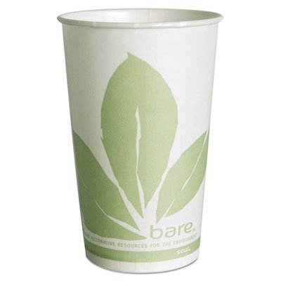 RW16BB-JD110 Paper Cold Cup, Bare Design, 16oz, 1000/Carton SCCRW16BBD110CT