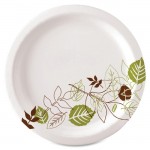 Pathway Heavyweight Paper Plates SXP10PATHCT