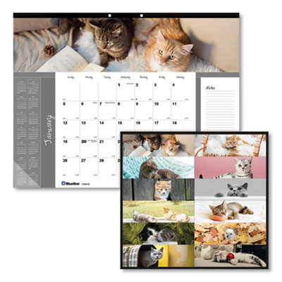 Blueline Pets Collection Monthly Desk Pad, 22 x 17, Furry Kittens, 2021 REDC194115